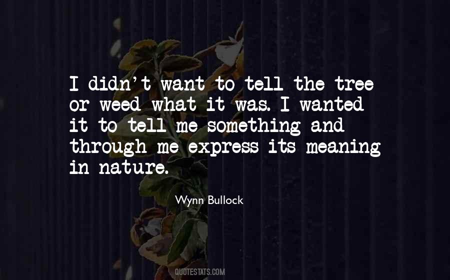 Wynn Bullock Quotes #301484