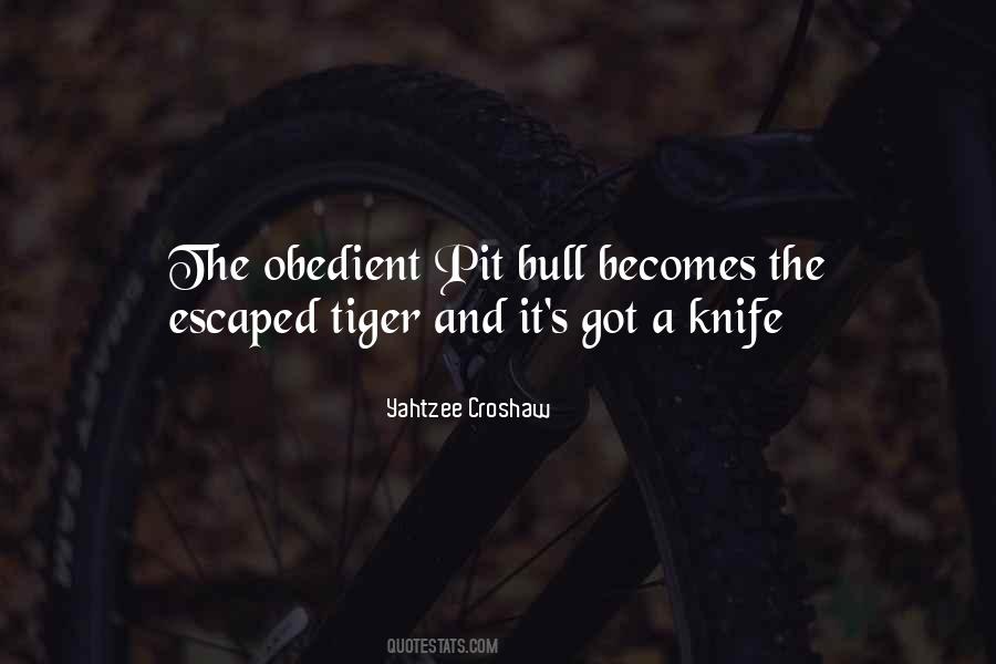 Yahtzee Croshaw Quotes #707639