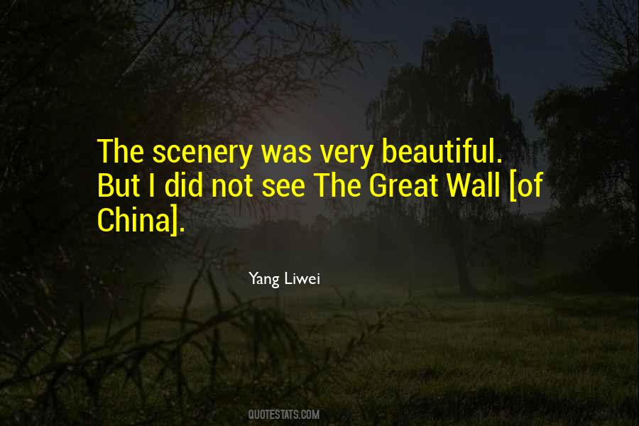 Yang Liwei Quotes #469965