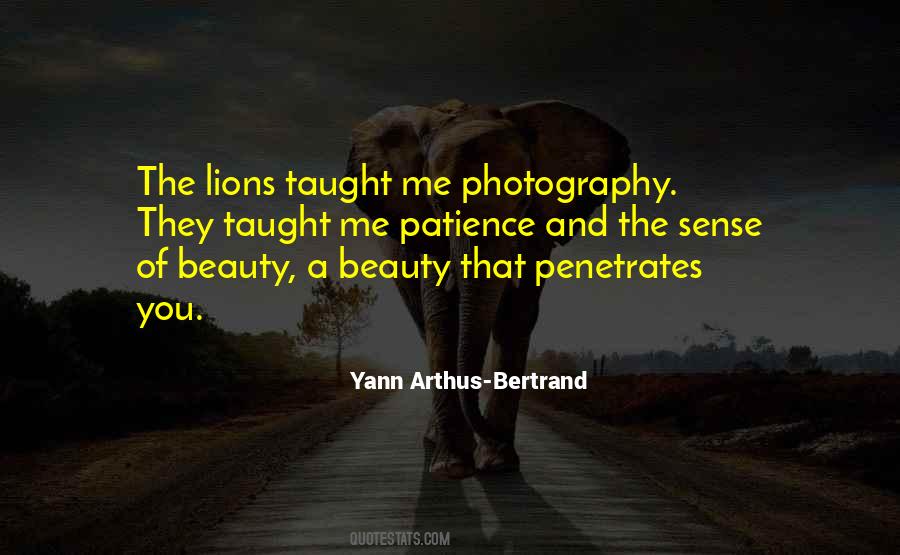 Yann Arthus-Bertrand Quotes #87312