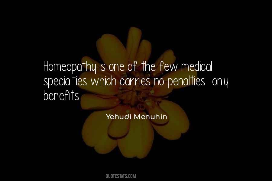 Yehudi Menuhin Quotes #1786888