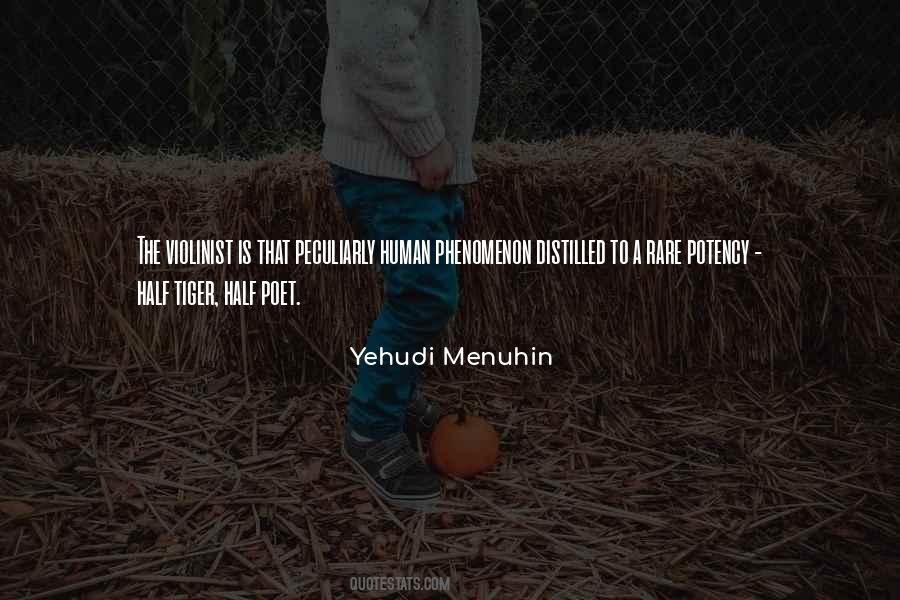 Yehudi Menuhin Quotes #203640