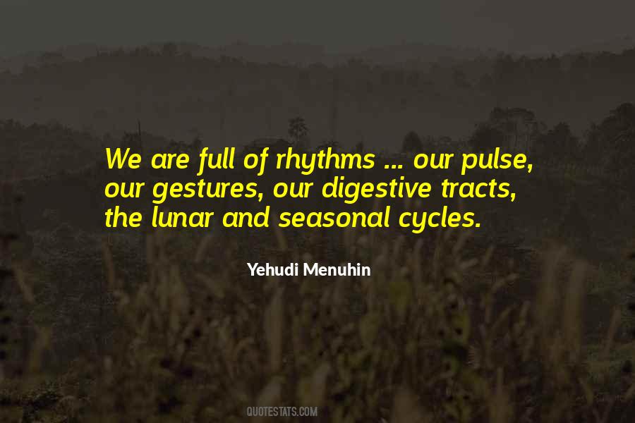 Yehudi Menuhin Quotes #340071
