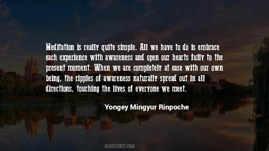 Yongey Mingyur Rinpoche Quotes #141000