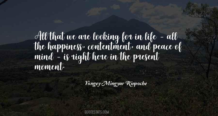 Yongey Mingyur Rinpoche Quotes #984380