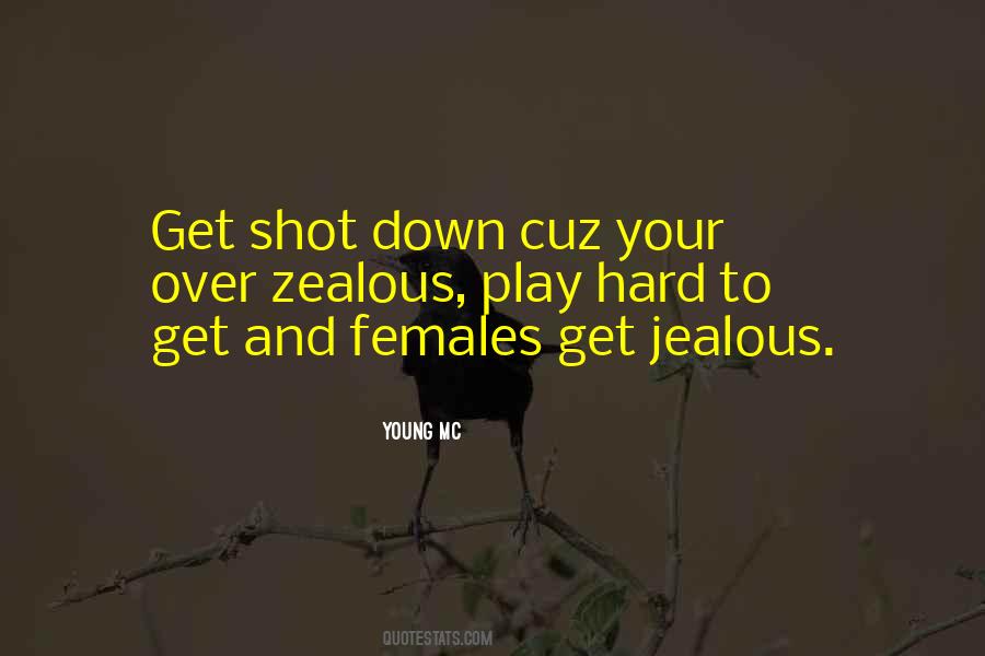 Young MC Quotes #1277328 Young MC Quotes #1277328