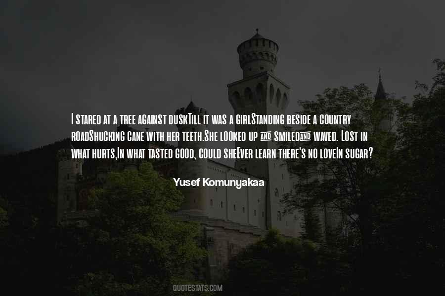 Yusef Komunyakaa Quotes #287114