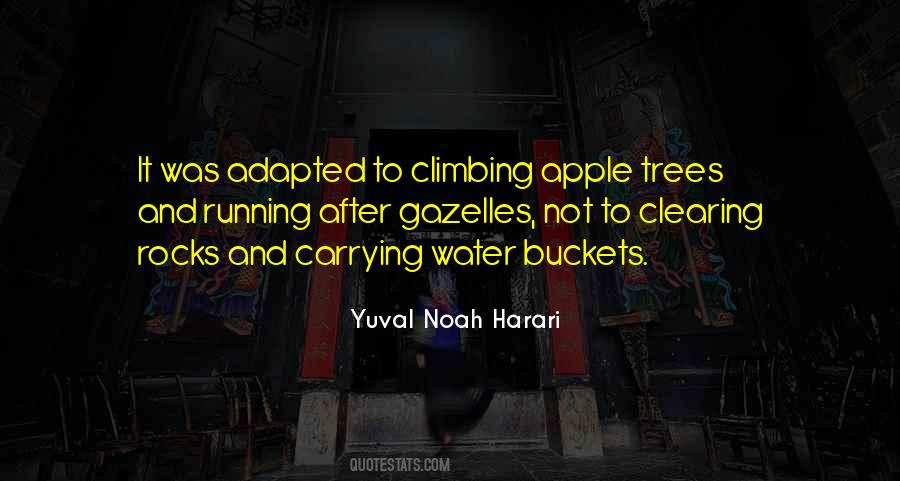 Yuval Noah Harari Quotes #554232