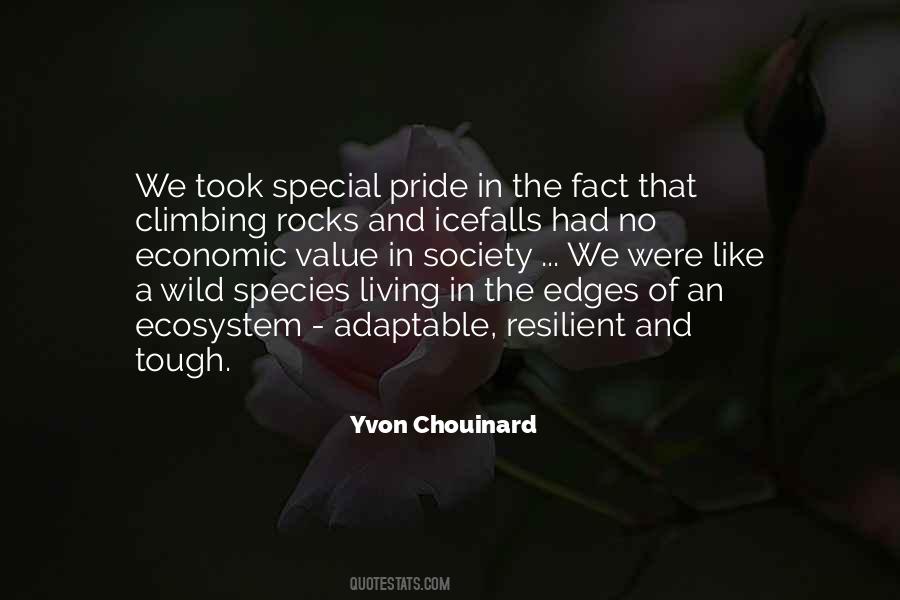 Yvon Chouinard Quotes #1011282