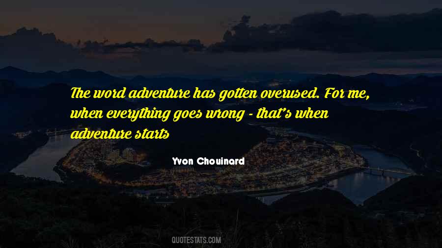 Yvon Chouinard Quotes #1019833