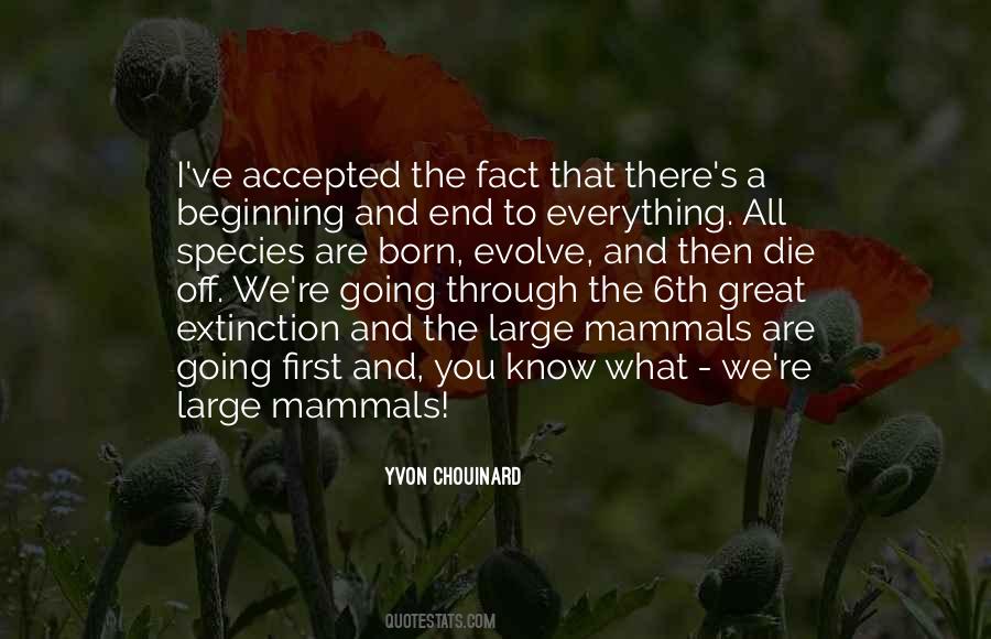 Yvon Chouinard Quotes #354634