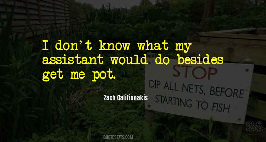 Zach Galifianakis Quotes #1501639