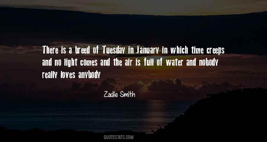 Zadie Smith Quotes #29710