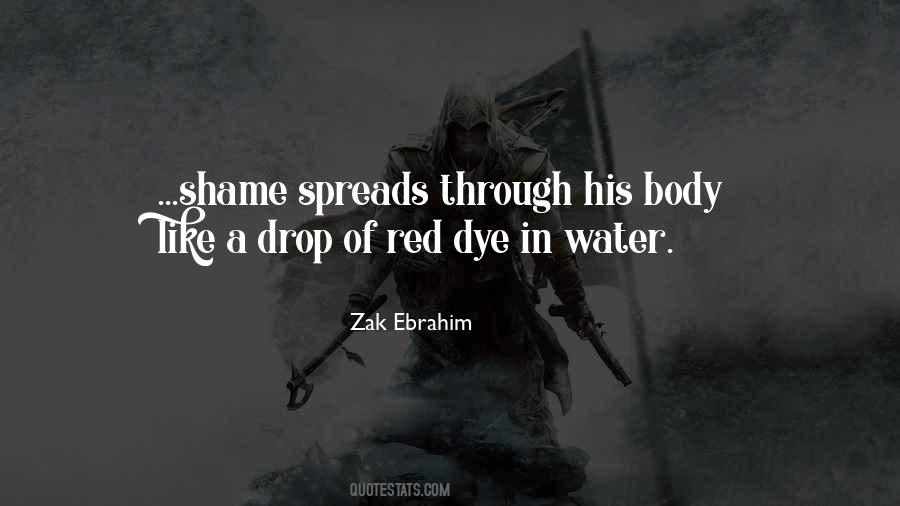 Zak Ebrahim Quotes #878498