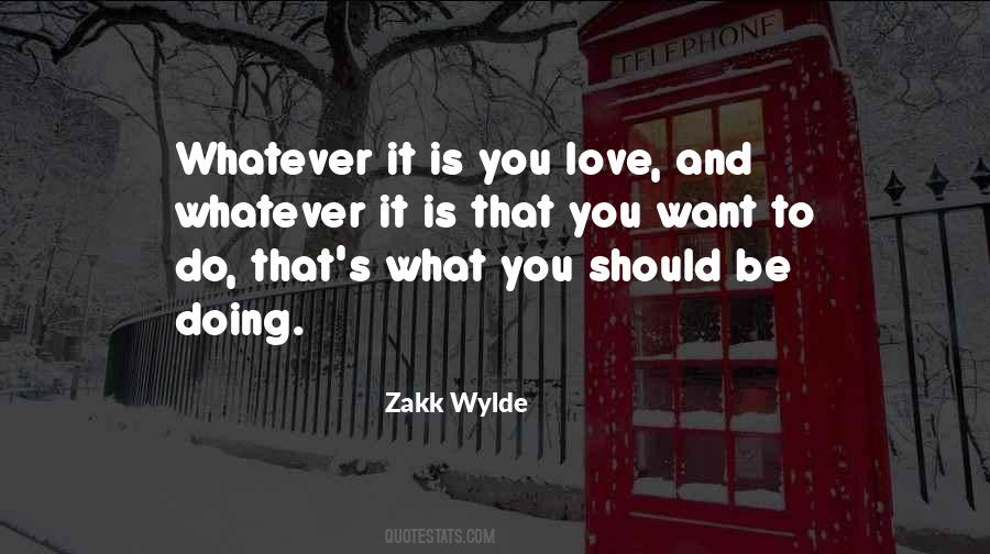 Zakk Wylde Quotes #269844