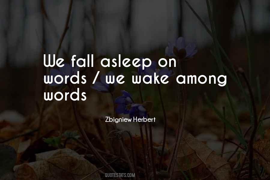 Zbigniew Herbert Quotes #1709020