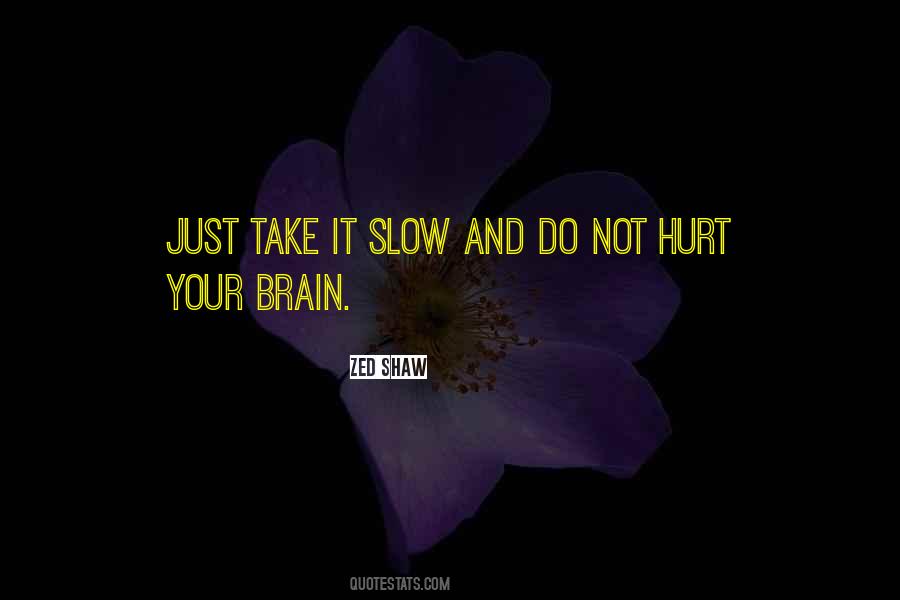 Zed Shaw Quotes #1243663 Zed Shaw Quotes #1243663