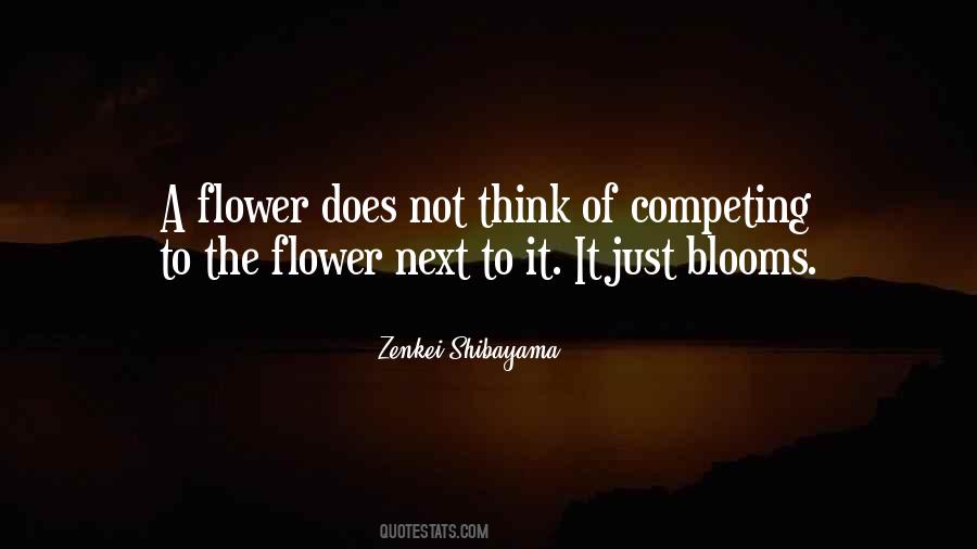 Zenkei Shibayama Quotes #37197