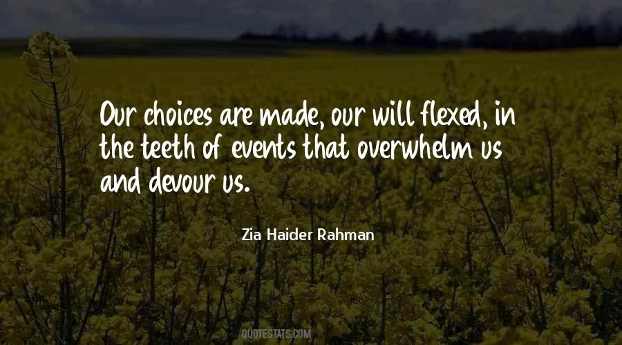 Zia Haider Rahman Quotes #1306902