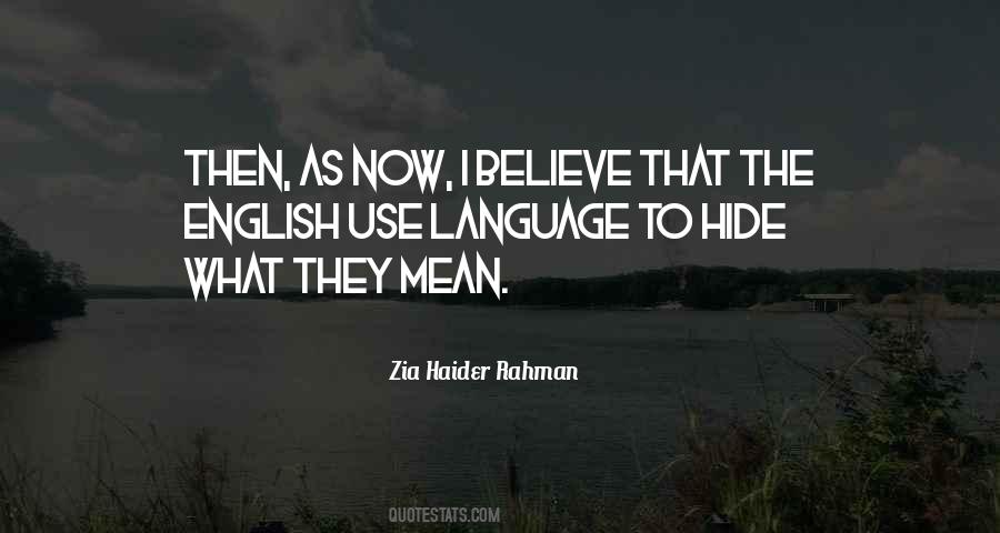 Zia Haider Rahman Quotes #1416864