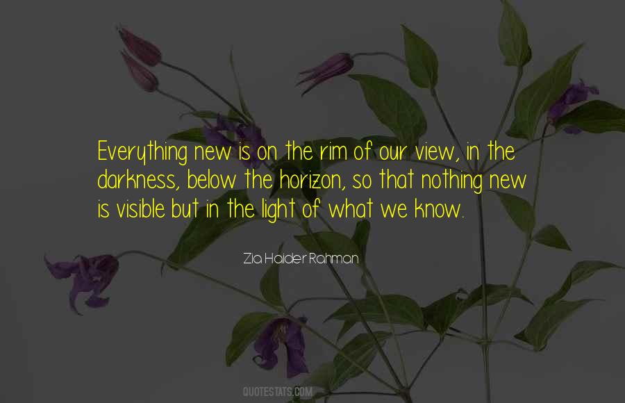 Zia Haider Rahman Quotes #1519773