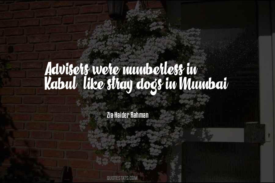Zia Haider Rahman Quotes #160238