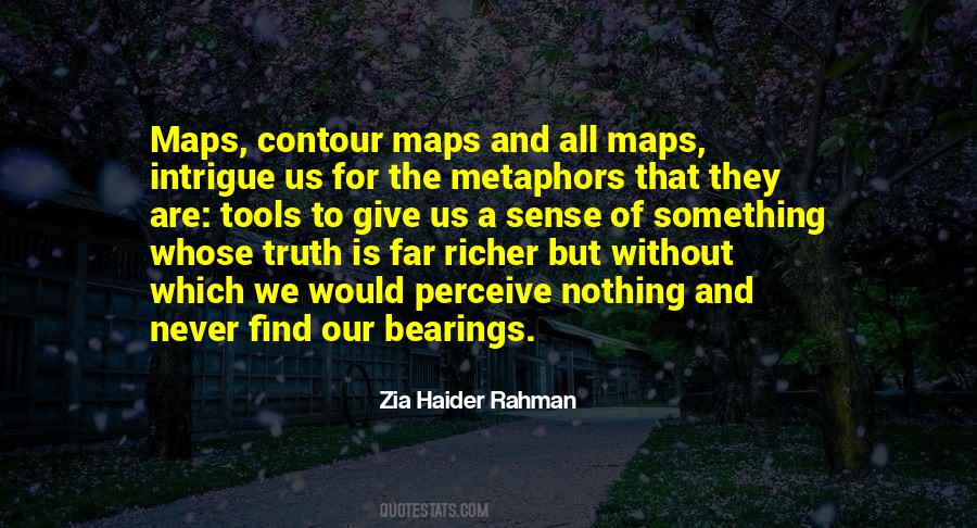 Zia Haider Rahman Quotes #1693671