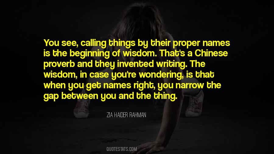Zia Haider Rahman Quotes #1734459