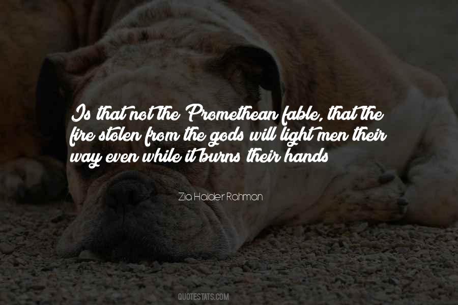 Zia Haider Rahman Quotes #356320