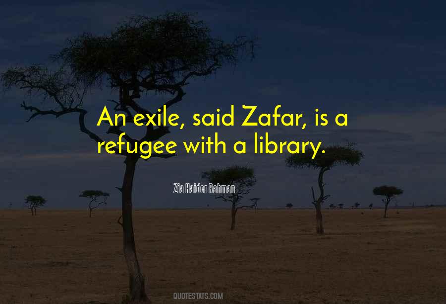 Zia Haider Rahman Quotes #654053