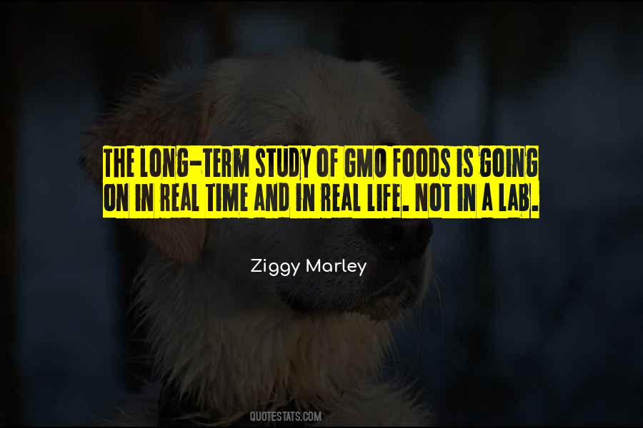 Ziggy Marley Quotes #1415964