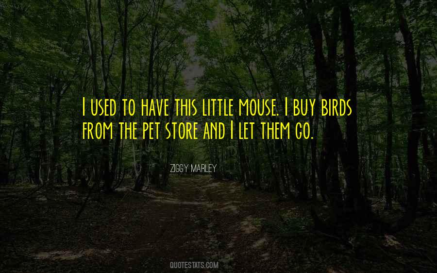 Ziggy Marley Quotes #1483016