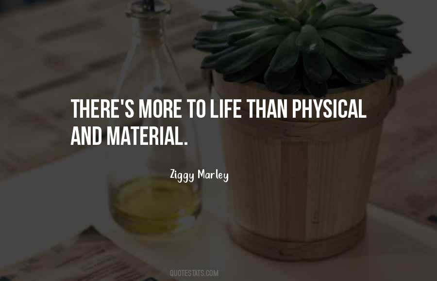 Ziggy Marley Quotes #356875
