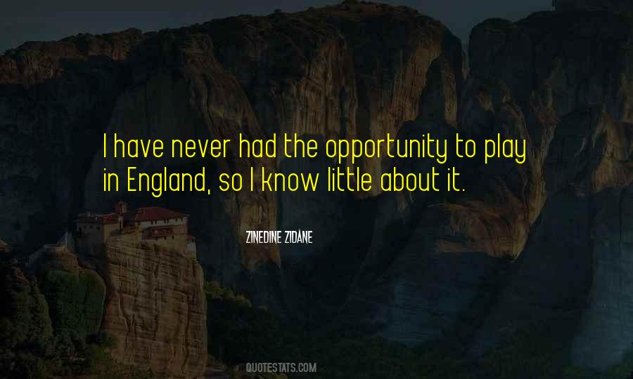 Zinedine Zidane Quotes #1857891