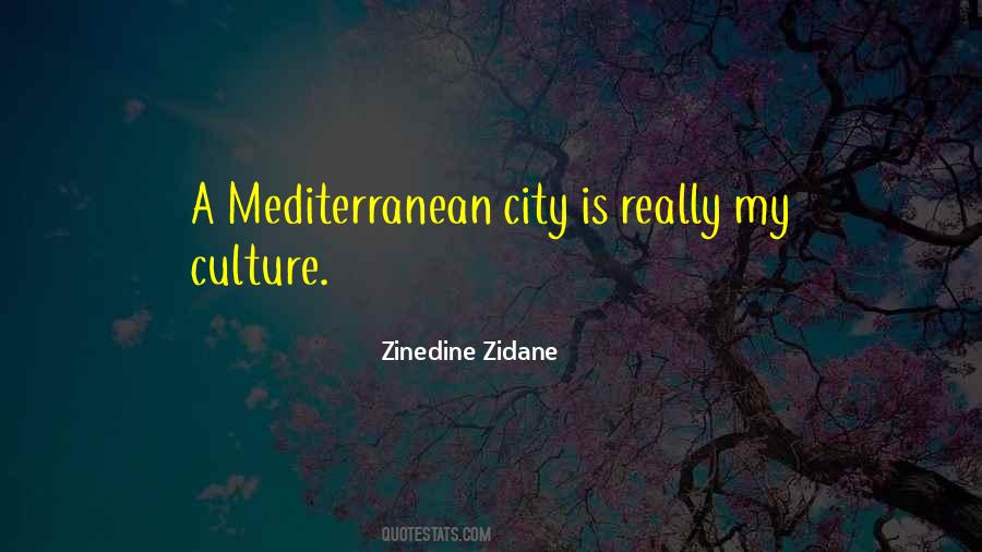Zinedine Zidane Quotes #821507