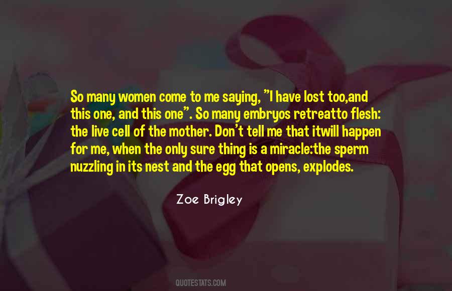 Zoe Brigley Quotes #1071268