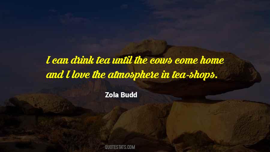 Zola Budd Quotes #80023
