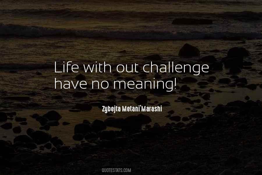 Zybejta Metani'Marashi Quotes #1017150 Zybejta Metani'Marashi Quotes #1017150