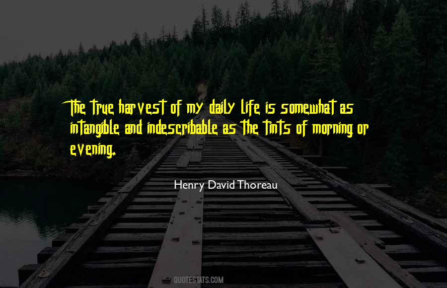 Quotes About Evening #95089 Quotes About Evening #95089