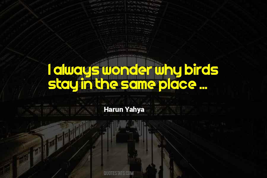 Harun's Quotes #1560643