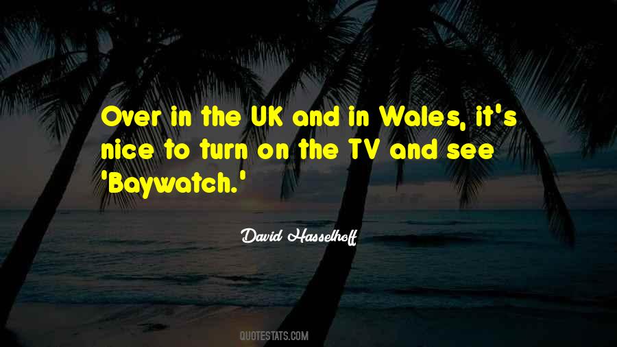 Hasselhoff's Quotes #892268