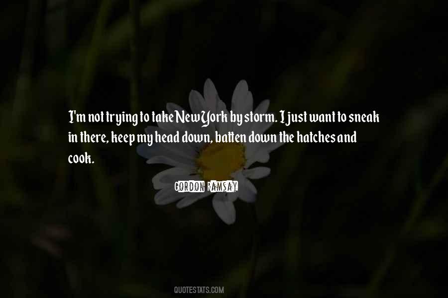 Hatches Quotes #1634806