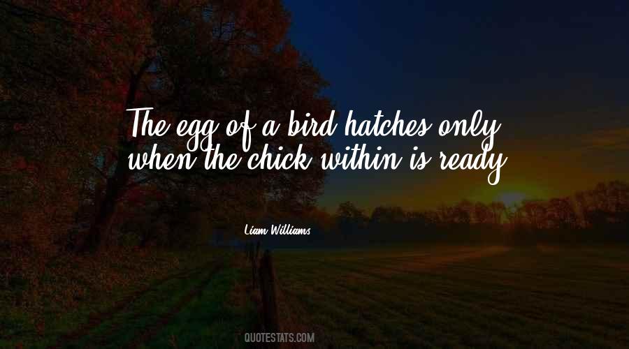 Hatches Quotes #556082