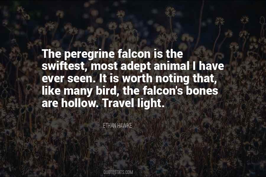 Hawke's Quotes #506876
