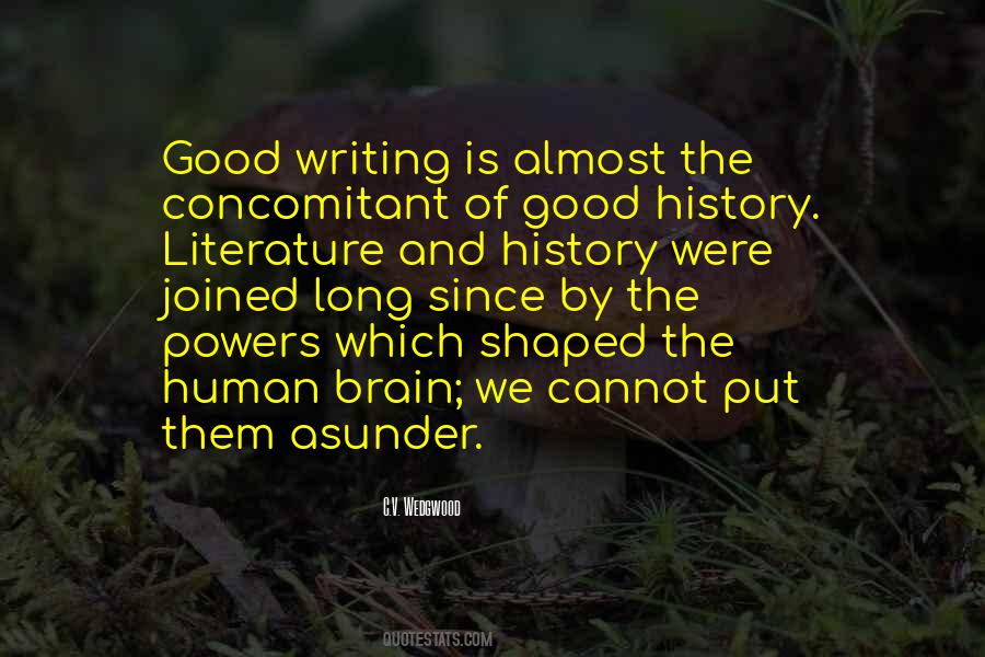 Quotes About Writing And History #340113