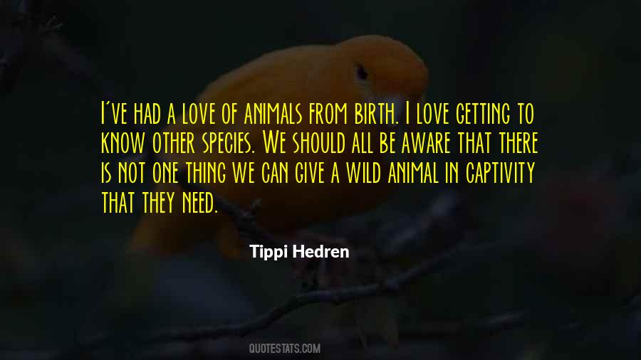 Hedren Quotes #804195