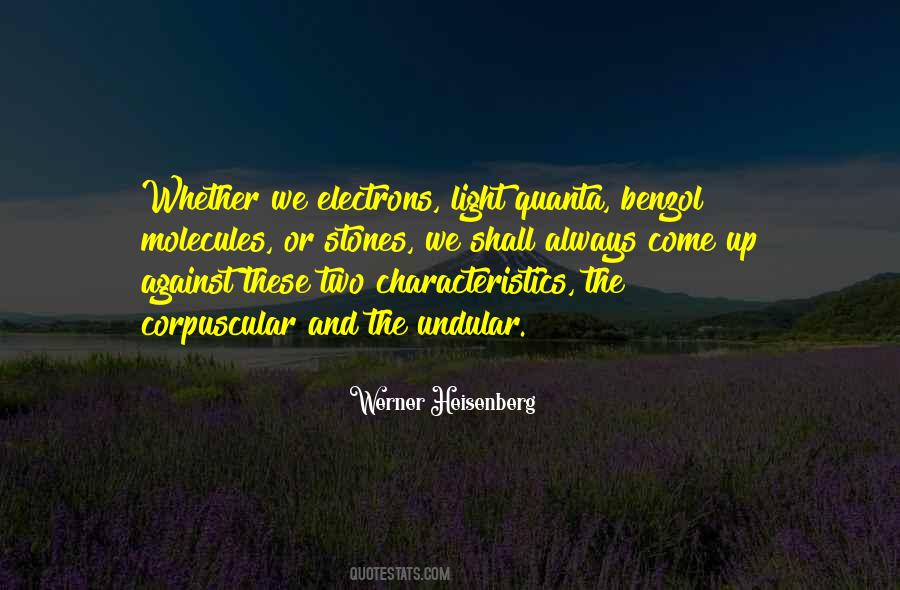 Heisenberg's Quotes #552638