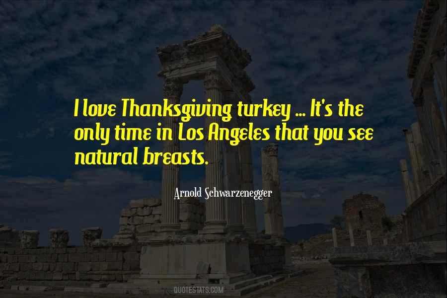 Quotes About Thanksgiving #1278831