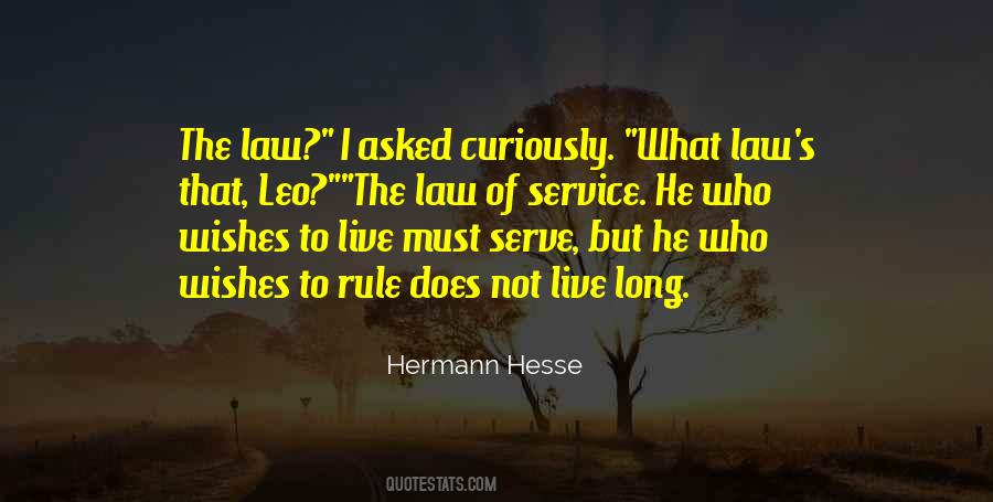 Hesse's Quotes #1237845