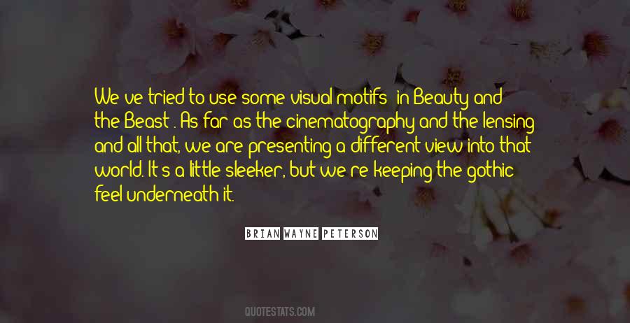 Quotes About Cinematography #881012